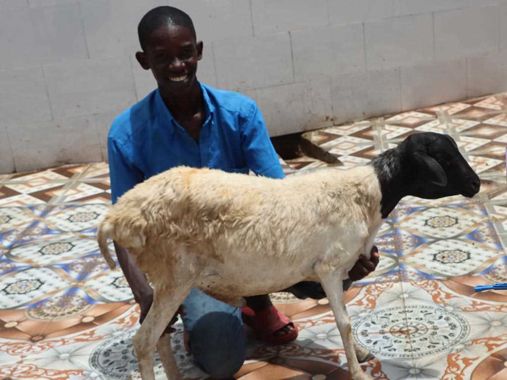 Adak Akika Kurban Bağışı