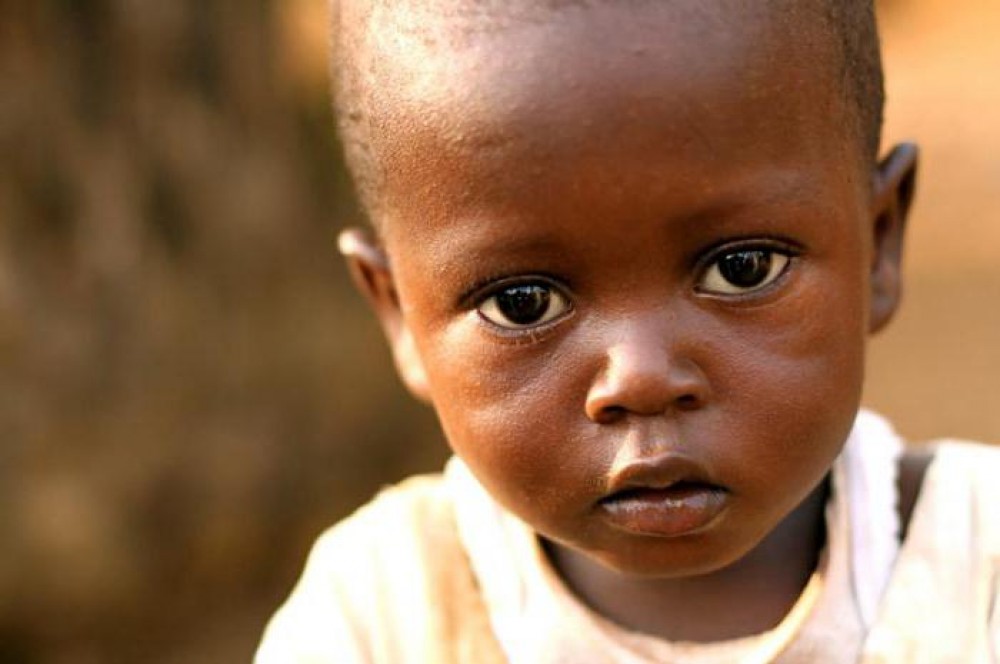 Umut Ol İnsani Yardın Derneği Afrika'da Adak Kurbanı Kesti.